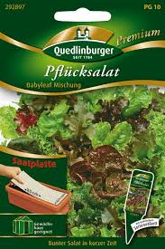 Image result for Pflücksalat