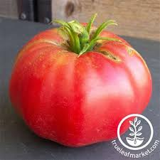 Afbeeldingsresultaat voor Pink Brandywine tomato