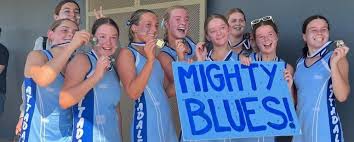 Image result for Camelot Netball Club