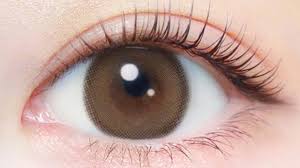 「エバーカラーワンデーナチュラル」の画像検索結果