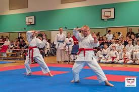 Image result for Addlestone Shotokan Karate Club