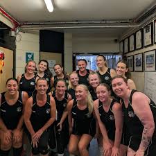 Image result for Thornhill Trojans Dolly Mixtures Netball Team