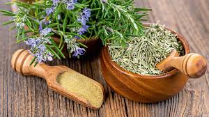 Image result for Rosmarin