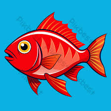 Image result for Lutjanus campechanus