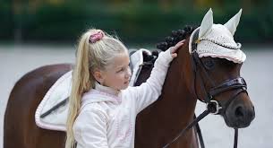 Afbeeldingsresultaat voor paarden