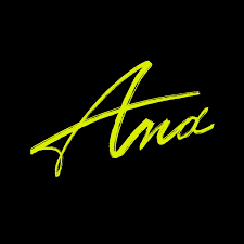 Image result for ana