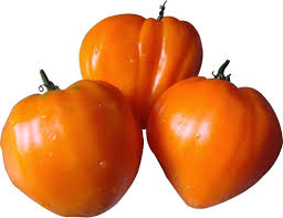Afbeeldingsresultaat voor oranje van goeienbier tomato