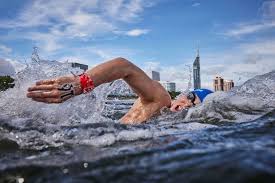 Image result for SwimSwansea