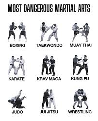Image result for Trusted Guard Martial Arts Dojo