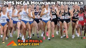 Image result for Ipswich Harriers