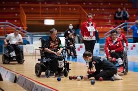 Image result for North Wales Boccia