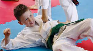 Image result for GKR KARATE - ESSEX & SUFFOLK