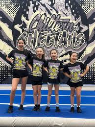 Image result for Chiltern Cheetahs