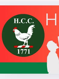 Image result for Henfield Cricket Club