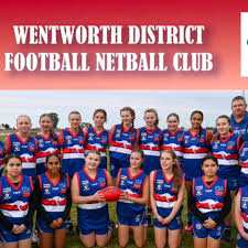 Image result for Brigg & District Netball Club