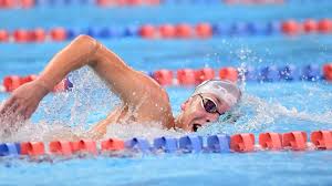 Image result for Nelson Cc