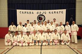 Image result for GoJu-Kai Karate Club