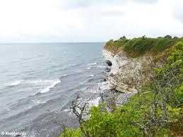 Image result for stevns klint