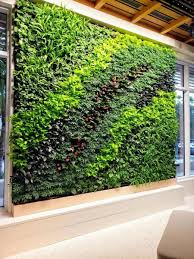 Image result for living wall
