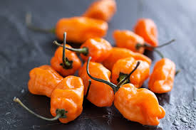 Afbeeldingsresultaat voor orange habanero hot pepper