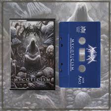 Attēlu rezultāti vaicājumam “Didymium verrucisporum stalked”