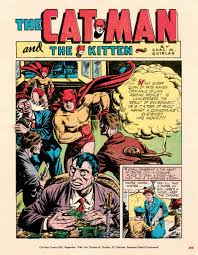 Image result for cat man