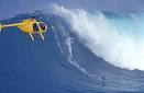 Jaws contest