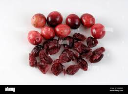 Attēlu rezultāti vaicājumam “Vaccinium vitis-idaea fruit”