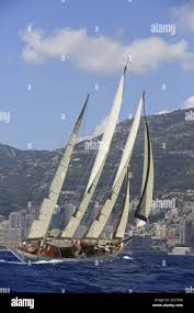 Image result for Xarifa