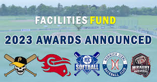 Image result for Norwich Iceni Baseball Club