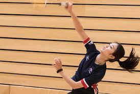 Image result for Newcastle Medicals Badminton Club