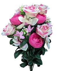 Attēlu rezultāti vaicājumam “Ranunculus mendax”