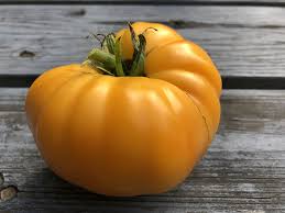 Afbeeldingsresultaat voor amana orange beefsteak tomato