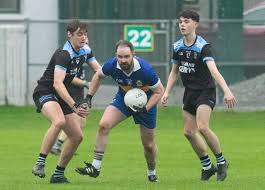 Image result for Wolfe Tones Gaelic Athletic Club