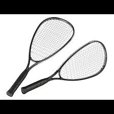 Image result for Optimum Speedminton Club