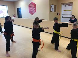 Image result for Red Dragon Taekwondo club