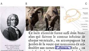 Image result for Redoubtables Cc