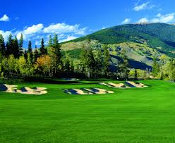 Image result for Ravenspark Golf Club