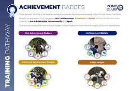 Image result for Chiddingfold Branch Of The Pony Club