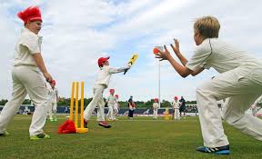 Image result for The Rayleigh Cricket Club