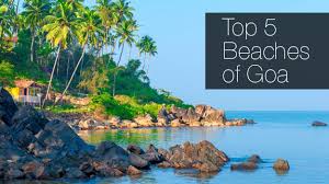 Image result for goa beaches
