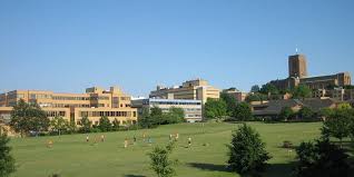 Image result for University Of Surrey