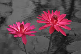  Photography Ideas   Black and White Images
