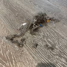 Image result for York University Surf Club