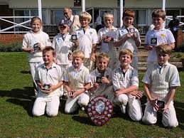 Image result for Henley Cricket Club