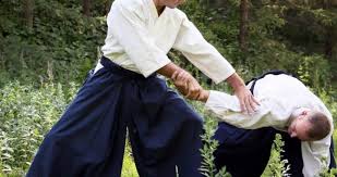Image result for Ki Aikido (Epsom Ki Aikido