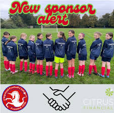 Image result for Chipstead Fc