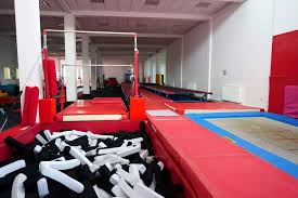 Image result for Harrogate School Of Gymnastics