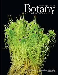 Attēlu rezultāti vaicājumam “Brachythecium salebrosum sporophyte”