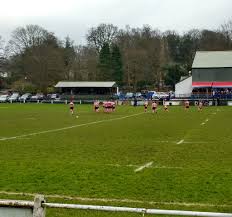 Image result for Wilmslow Rugby Union Football Club